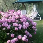 Casa Valenti شقة *
