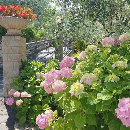 Casa Valenti Lägenhet Brenzone sul Garda