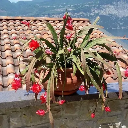 Lägenhet Casa Valenti *