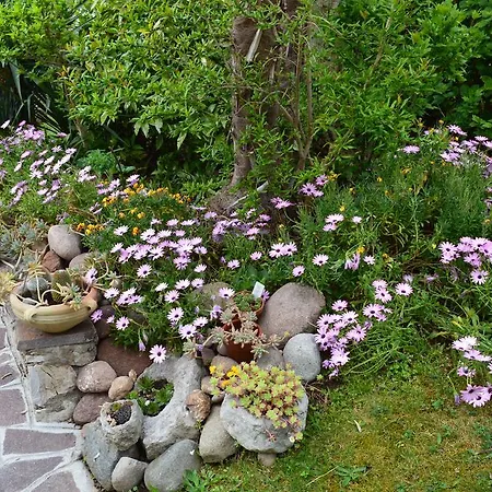 Casa Valenti 아파트 *