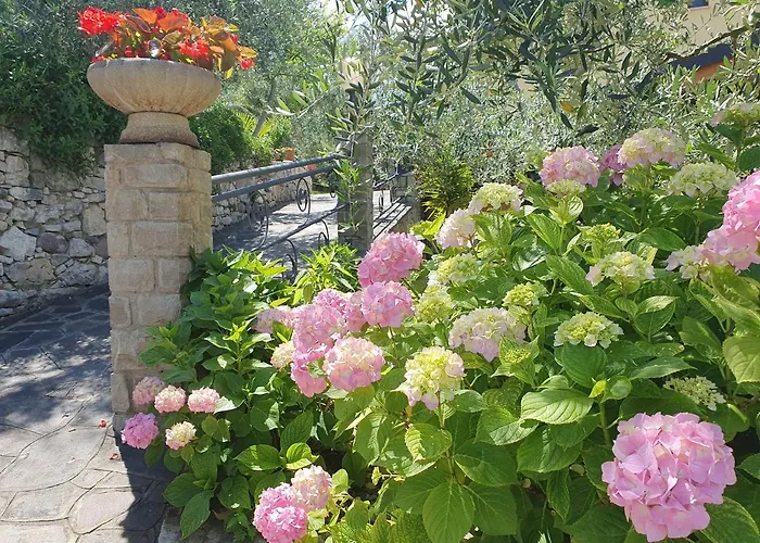 Casa Valenti 公寓 布雷佐内加尔达