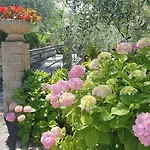 Casa Valenti Διαμέρισμα Brenzone sul Garda
