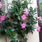 Casa Valenti Διαμέρισμα *