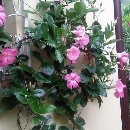 Casa Valenti דירה *