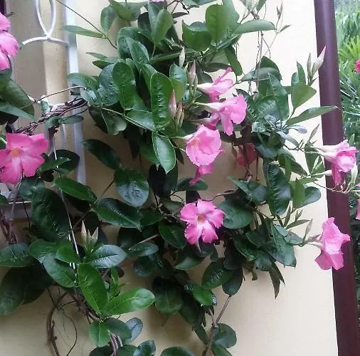 Casa Valenti Apartmán *