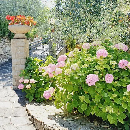 Casa Valenti Apartment Brenzone sul Garda